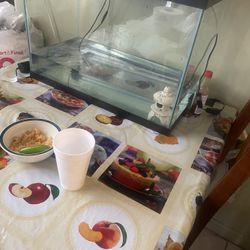Fish Tank 