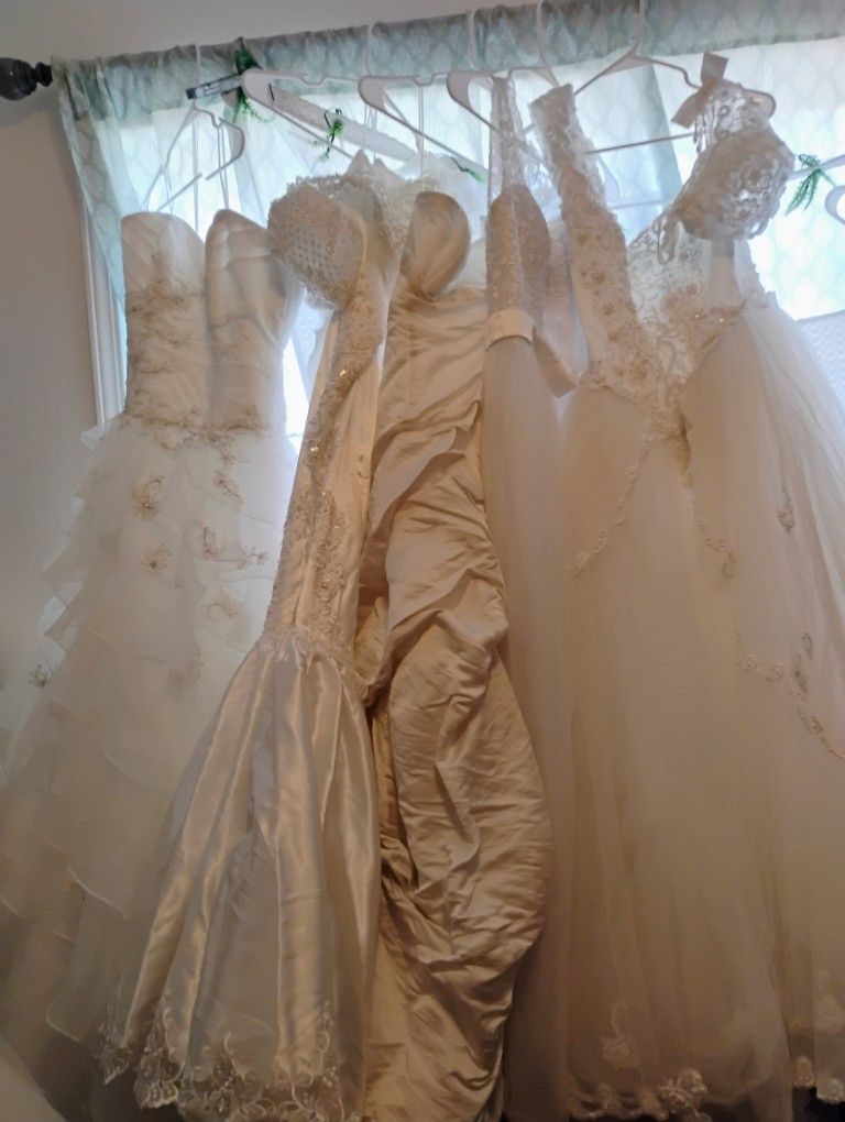 Bride N Bridesmaids Dresses All Sizes