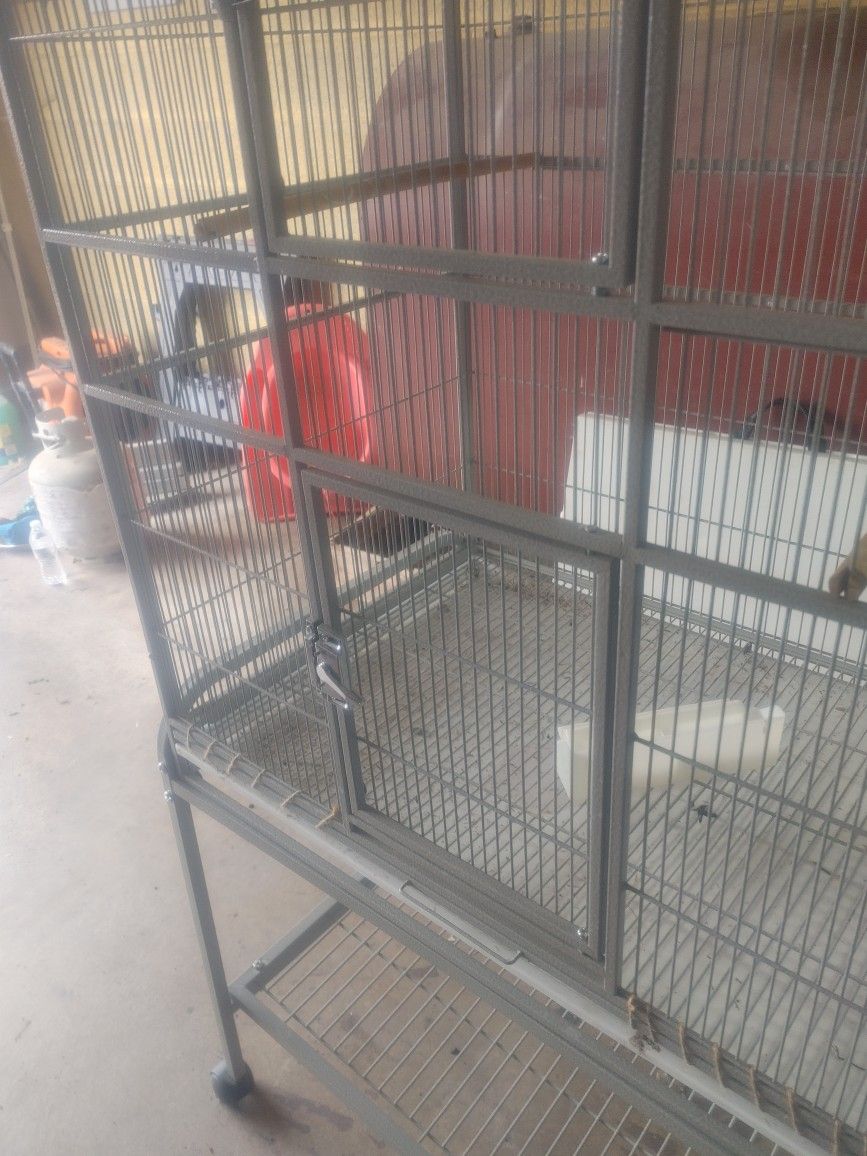 Bird Cage
