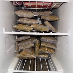 Homemade Dog Food *Read Description*