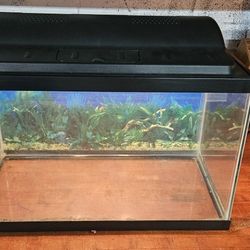 Small Aquarium