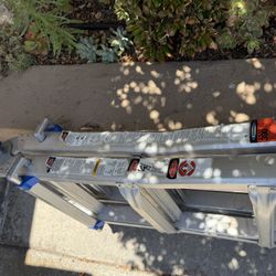 Werner Ladder