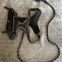 Dog Harness