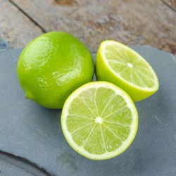 Bear Lime Seedless Trees 😃😃😃😃😃🌿🌿🌿🌿🌿🌿