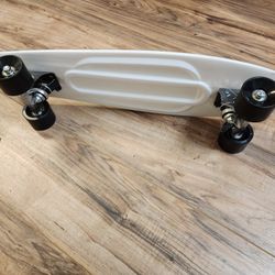 Skate Board