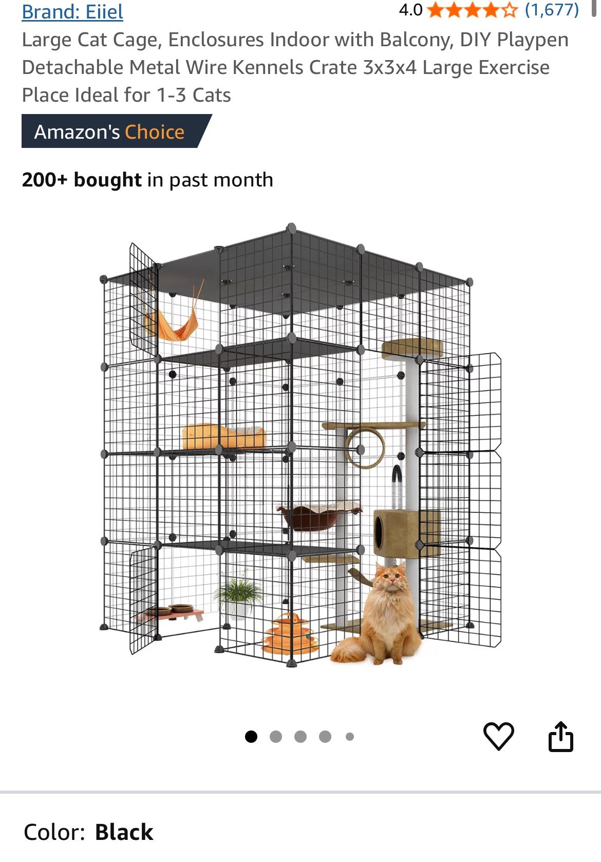 Cat Patio
