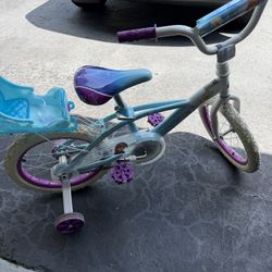 Frozen Bicycle 