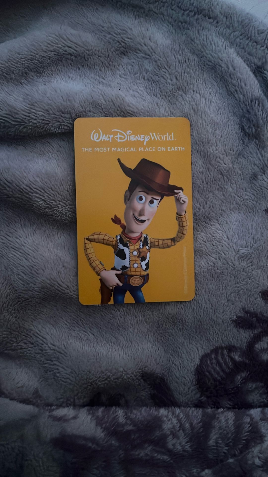 1 Day (1 Theme Park) Ticket