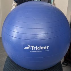 Brand New Large Exercise Ball With Pump.  ( Never Used).