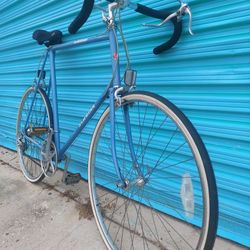 Schwinn Roadbike extra large frame