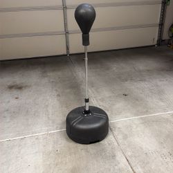 Stand Up Punching Bag