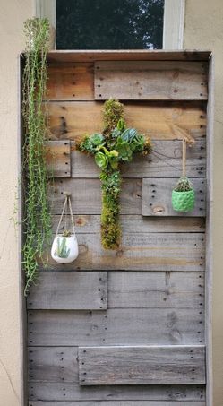 Moss succulent cross Arrangement