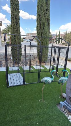 Cage, dog