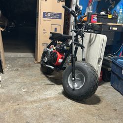 Mini Bike 