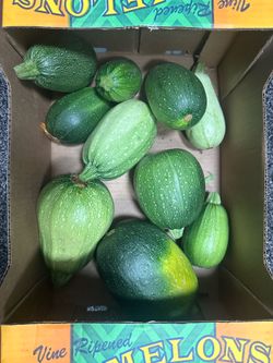 Calabasa mexicana