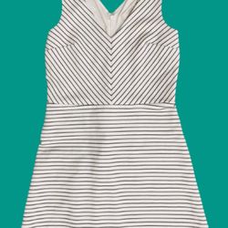 Loft Dress Short B&w Striped Petite 00P