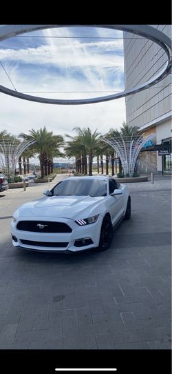 Ford mustang 2016
