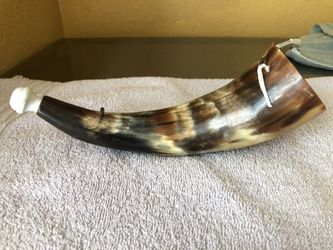 Bull horn