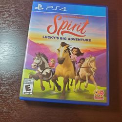 Spirit. Ps4 Game