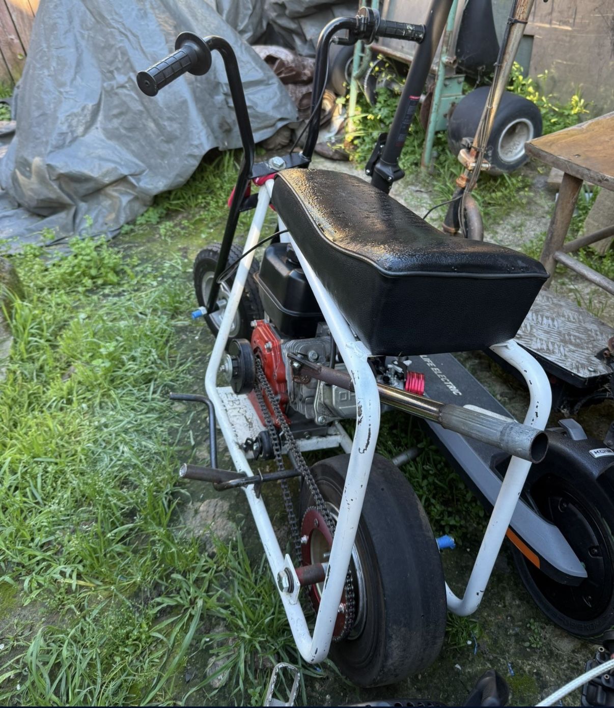 Adult Minibike
