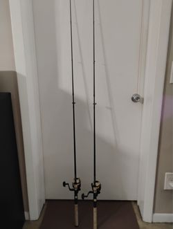Daiwa D-Shock spinning combo 2 rods