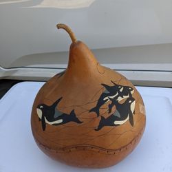 Drawing Pumpkin Storage Box