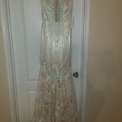 Prom /special Ocassion Dress