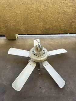 Calling Fan