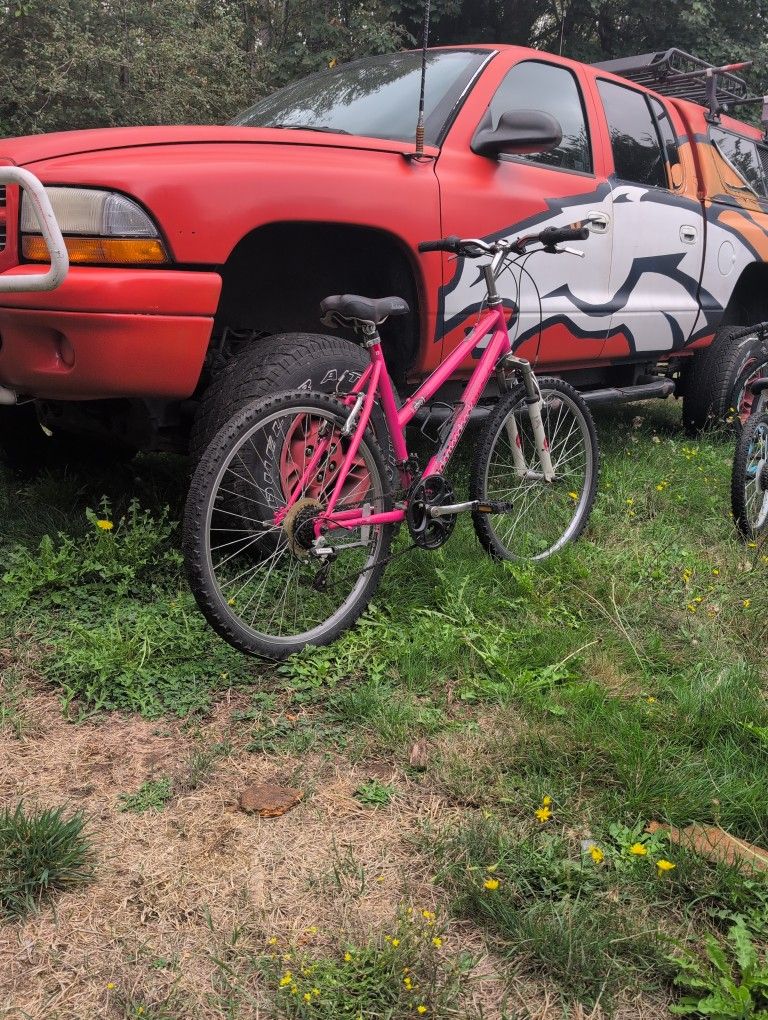 Diamond Back Mountain Bike 26 Inch