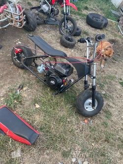 Mini bike