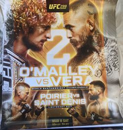 UFC 299 Fight Card Poster