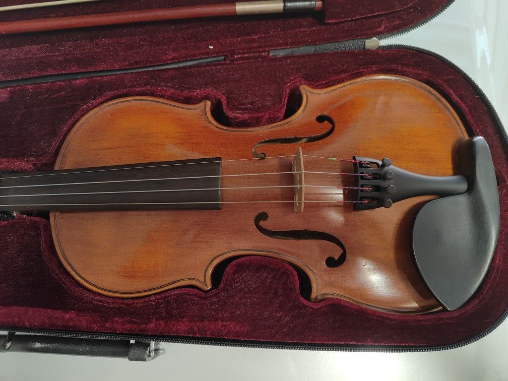 Violin