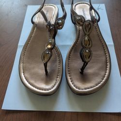 Sandles