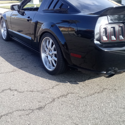 2007 California special mustang