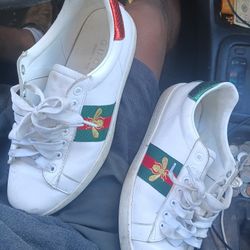 Shoes 👟 Gucci  Size 8   150$$$$