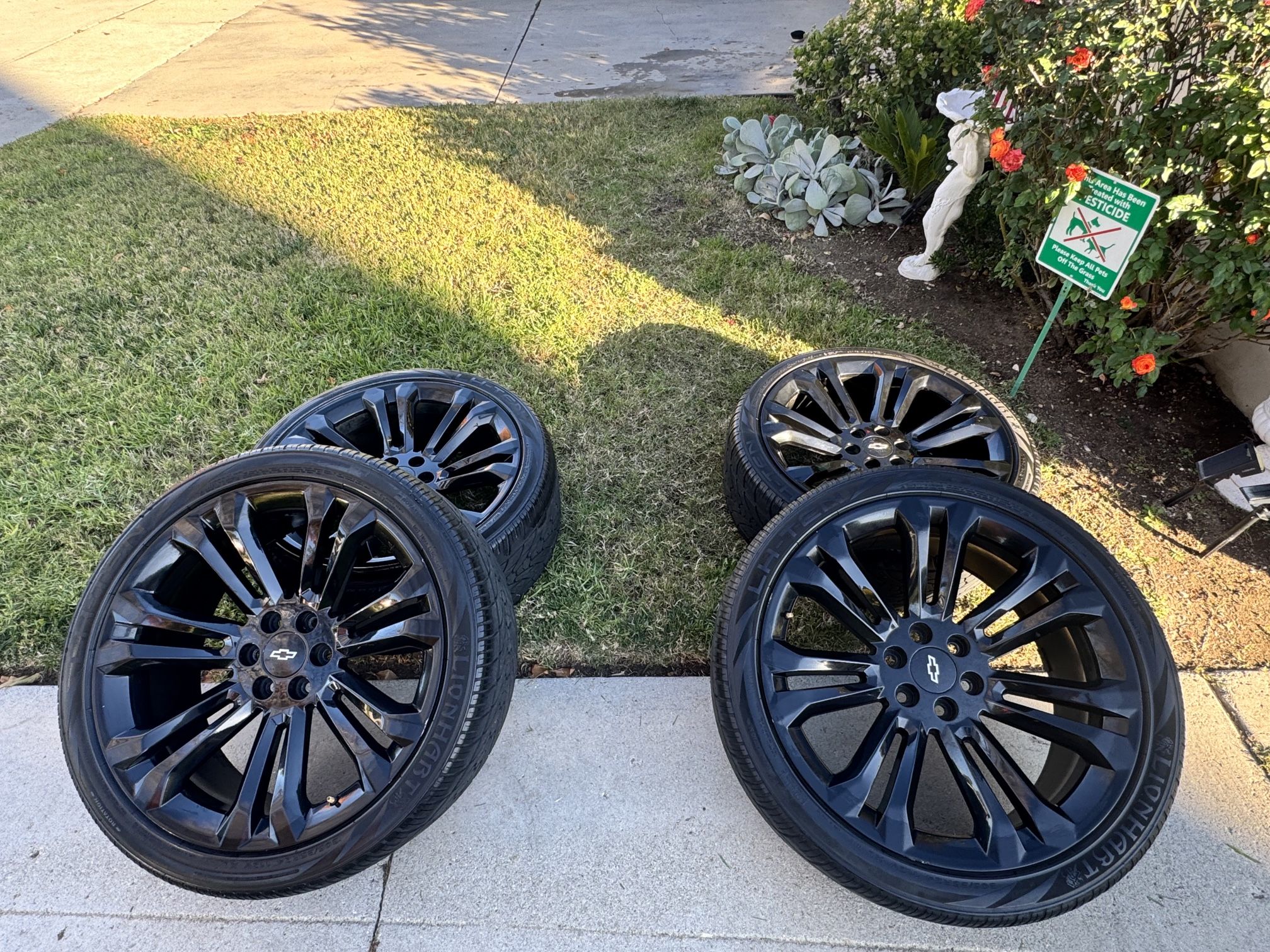 24” Rims 