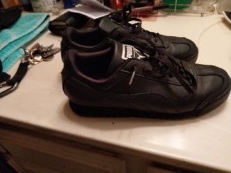 Pumas