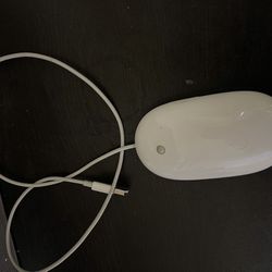 Genuine Apple Wired Mouse 