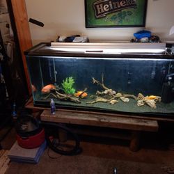 Fish Tank 130 Gal 🐟 