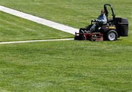 Lawn