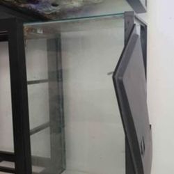 Glass 29 gal aquarium (stand included)