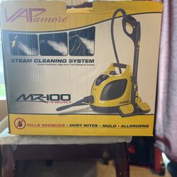 Steam Cleaning 