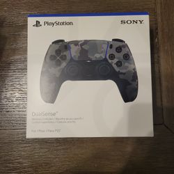 PS5 Controller