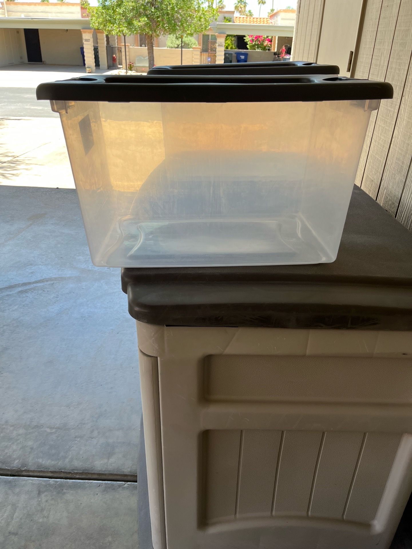 Sterilite latching totes