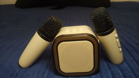 Portable Karaoke Speaker System with 2 Wireless Microphones – Bluetooth RGB