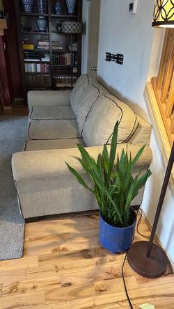 2 great gray sofas