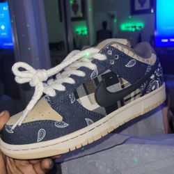 Nike SB Travis Scott