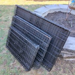 3 Dog Crates
