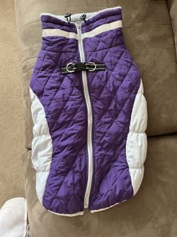 Doggie Jacket