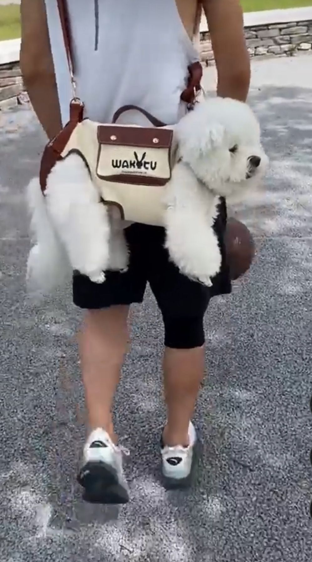 Dog Lift Harness Dog Carrier Vest Harness Adjustable Leash 11 -15 Pds